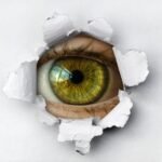 current scams - understanding data breaches