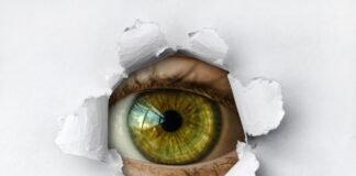 current scams - understanding data breaches