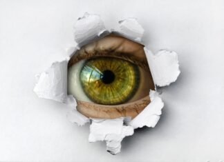 current scams - understanding data breaches