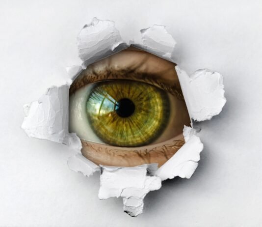 current scams - understanding data breaches