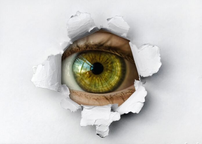 current scams - understanding data breaches